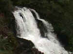Puyehue National Park