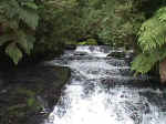 Puyehue National Park